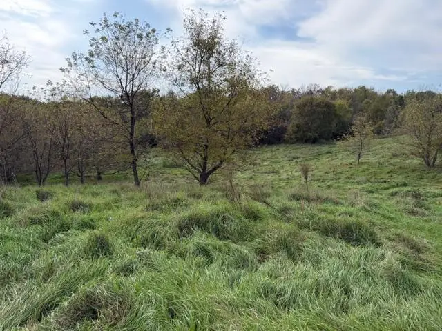 Lot 6 220th Ave, Star Prairie Town, WI 54017 - Image #3