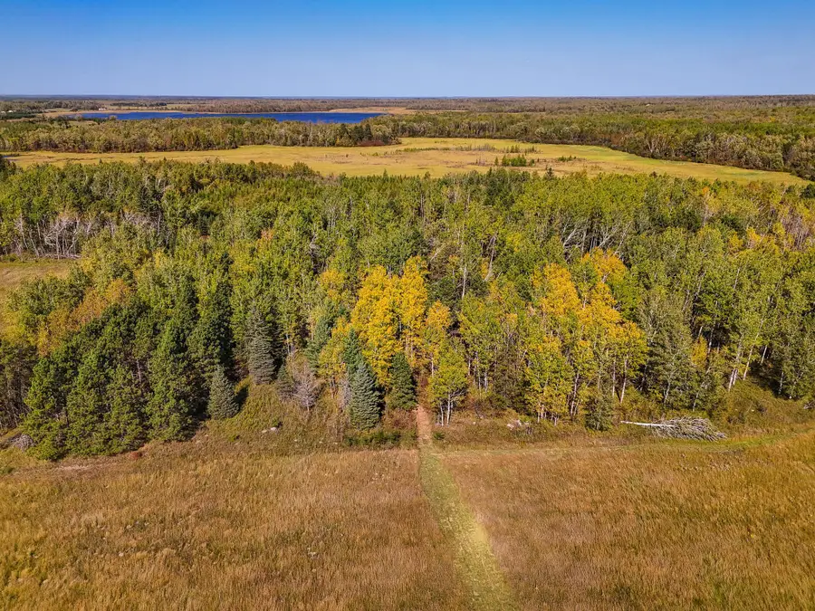 Parcel #3 TBD County 9, Becida, MN 56678 - Image #3