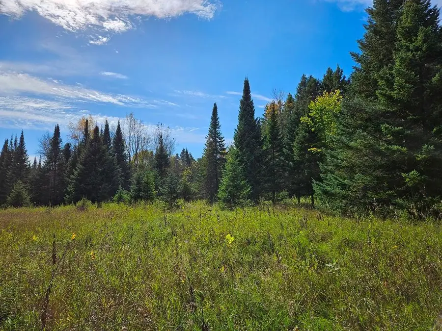 Lt 3 Blk 1 County Rd 238, Deer River, MN 56636 - Image #3