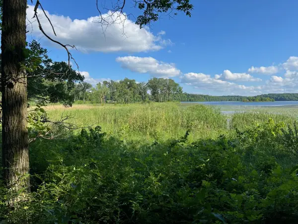 C-1 County Hwy 17, Candor Twp, MN 56587