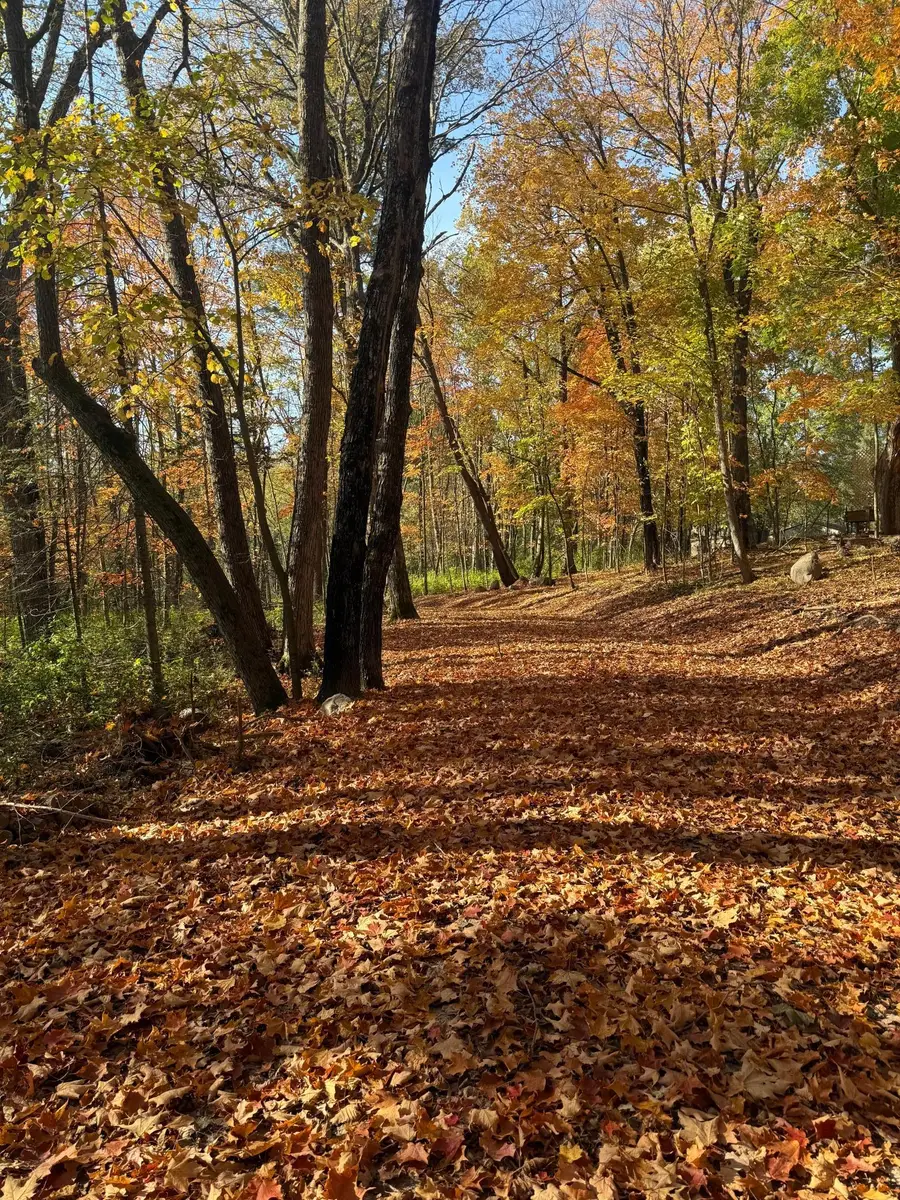 999 Porcupine Trail, Aitkin, MN 56431 - Image #2