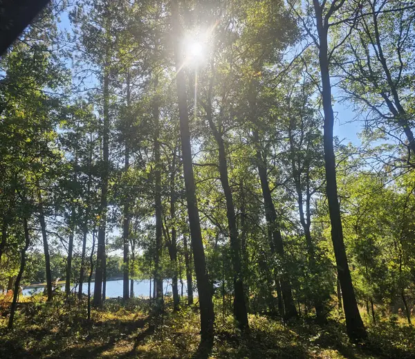 xxx County Road H Road, Scott Twp, WI 54830