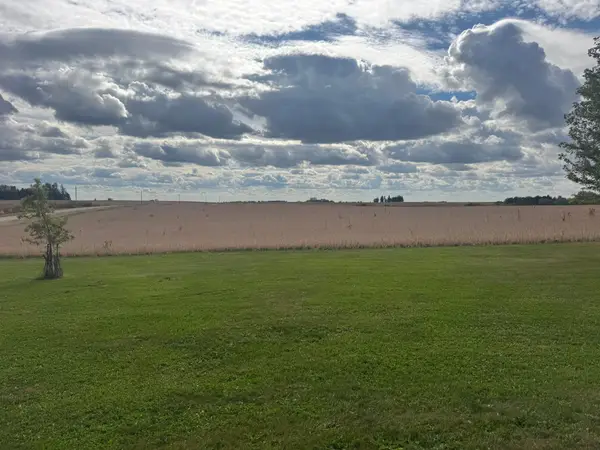 58869 Cty Road 71, Mazeppa Twp, MN 55956