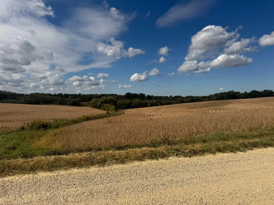 58869 Cty Road 71, Mazeppa Township, MN 55956 - Image #3