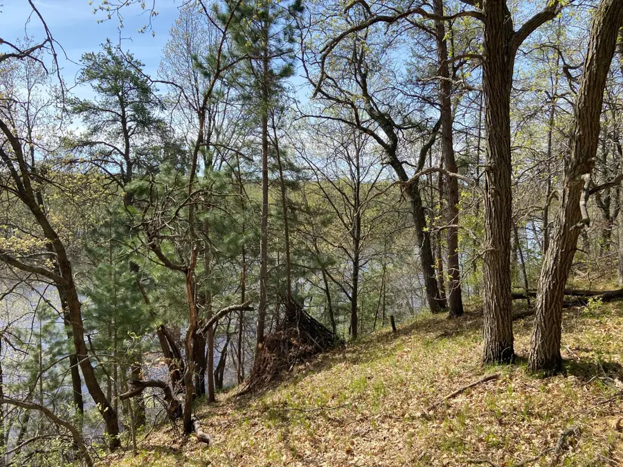 TBD Eagle Ridge, Baxter, MN 56425 - #3