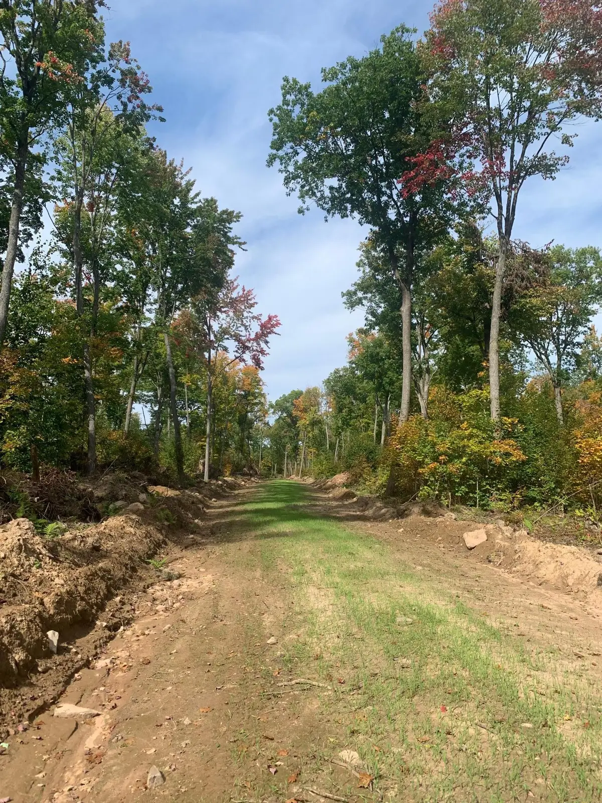 TBD County Road T 4, Dairyland, WI 54830 - Image #1