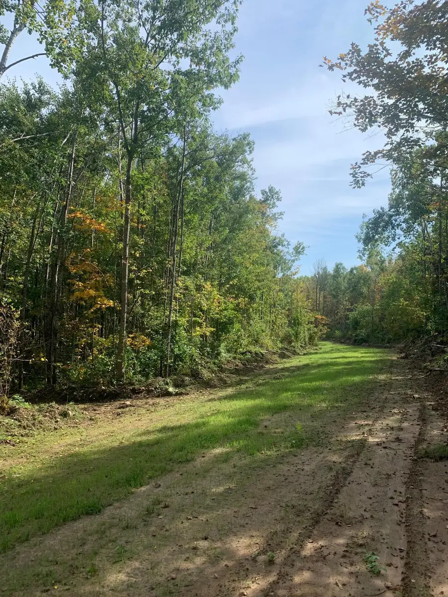 TBD County Road T 4, Dairyland, WI 54830 - Image #3
