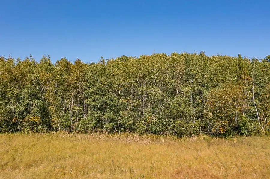 Tract C TBD Little Pine Road, Sylvan Township, MN 56401 - Image #3
