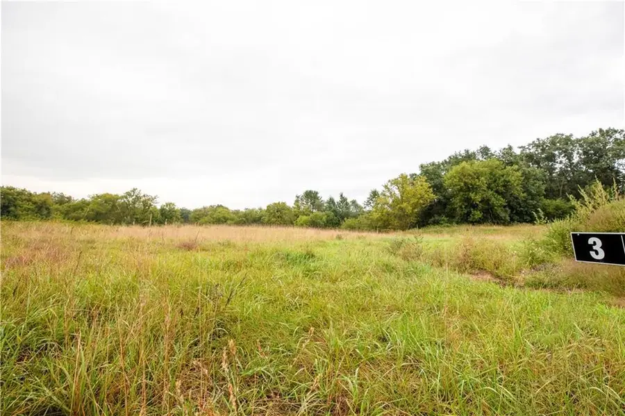 Lot 3 Mertinke Landing, Pleasant Valley, WI 54738 - Image #2