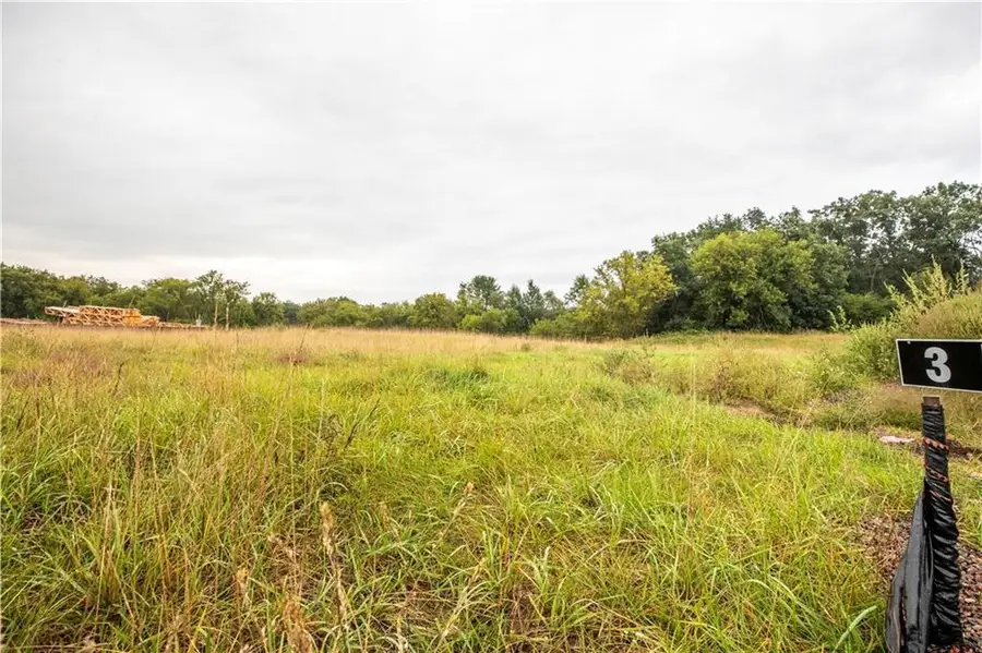 Lot 3 Mertinke Landing, Pleasant Valley, WI 54738 - Image #3