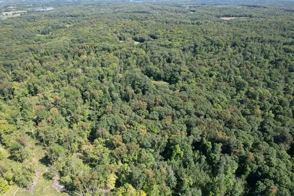 TBD 485th Street, Vergas, MN 56587