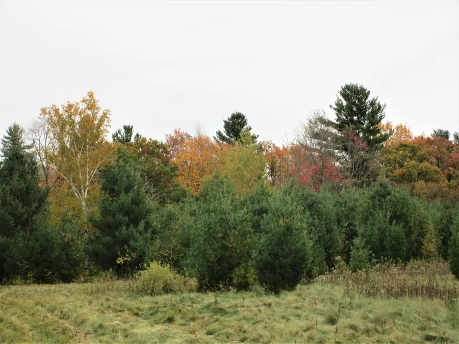 Parcel 2 90th Street, Frederic, WI 54837 - Image #2