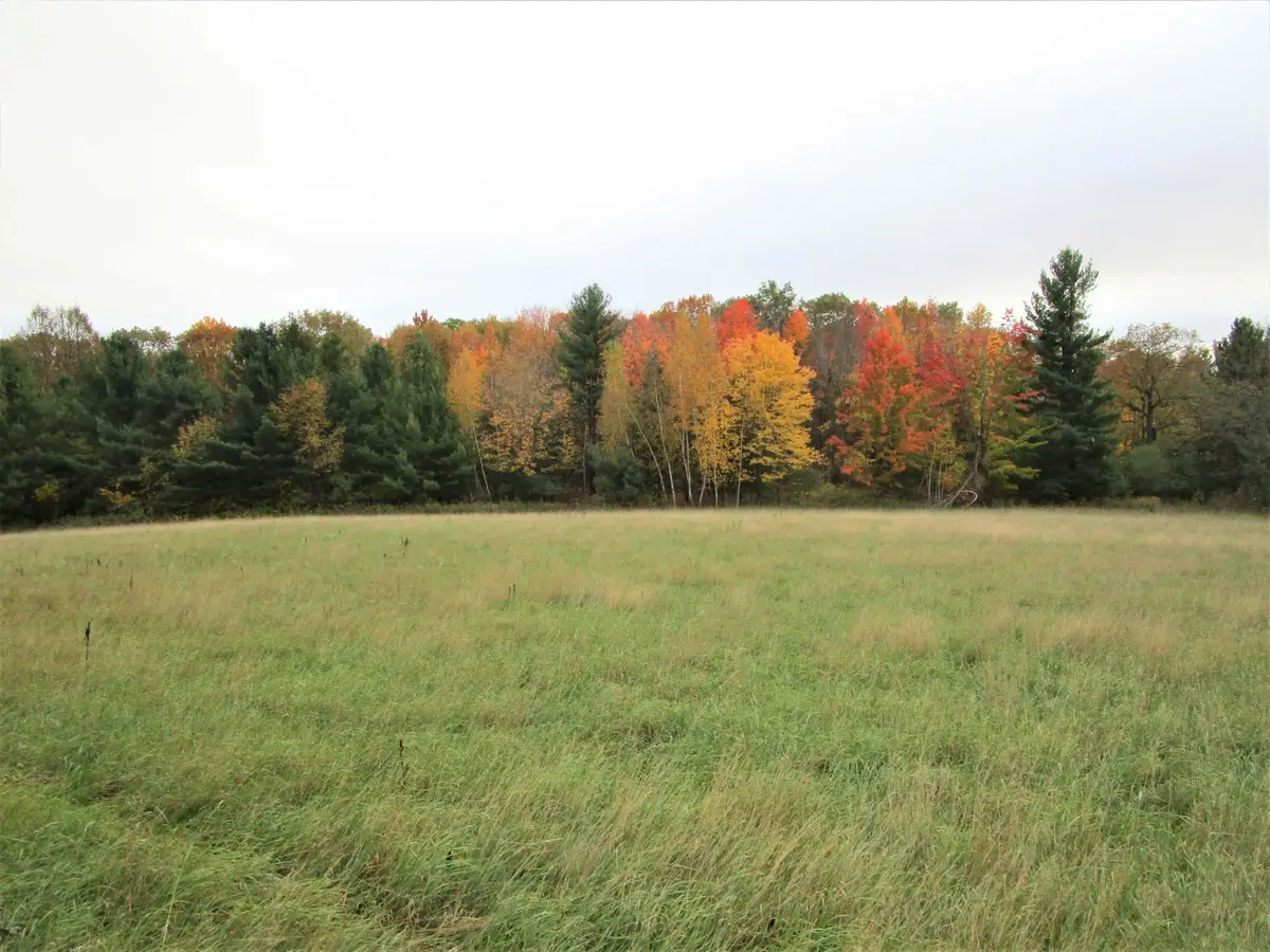 Parcel 5 340th Avenue, Frederic, WI 54837 - Image #1