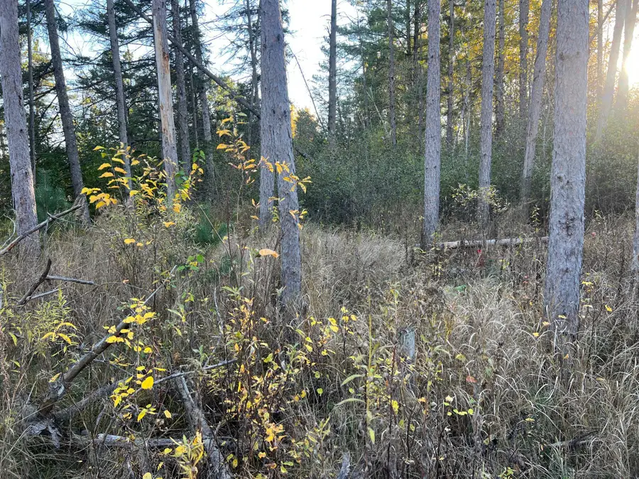 000 State Hwy 23 S., Sandstone, MN 55072 - Image #2