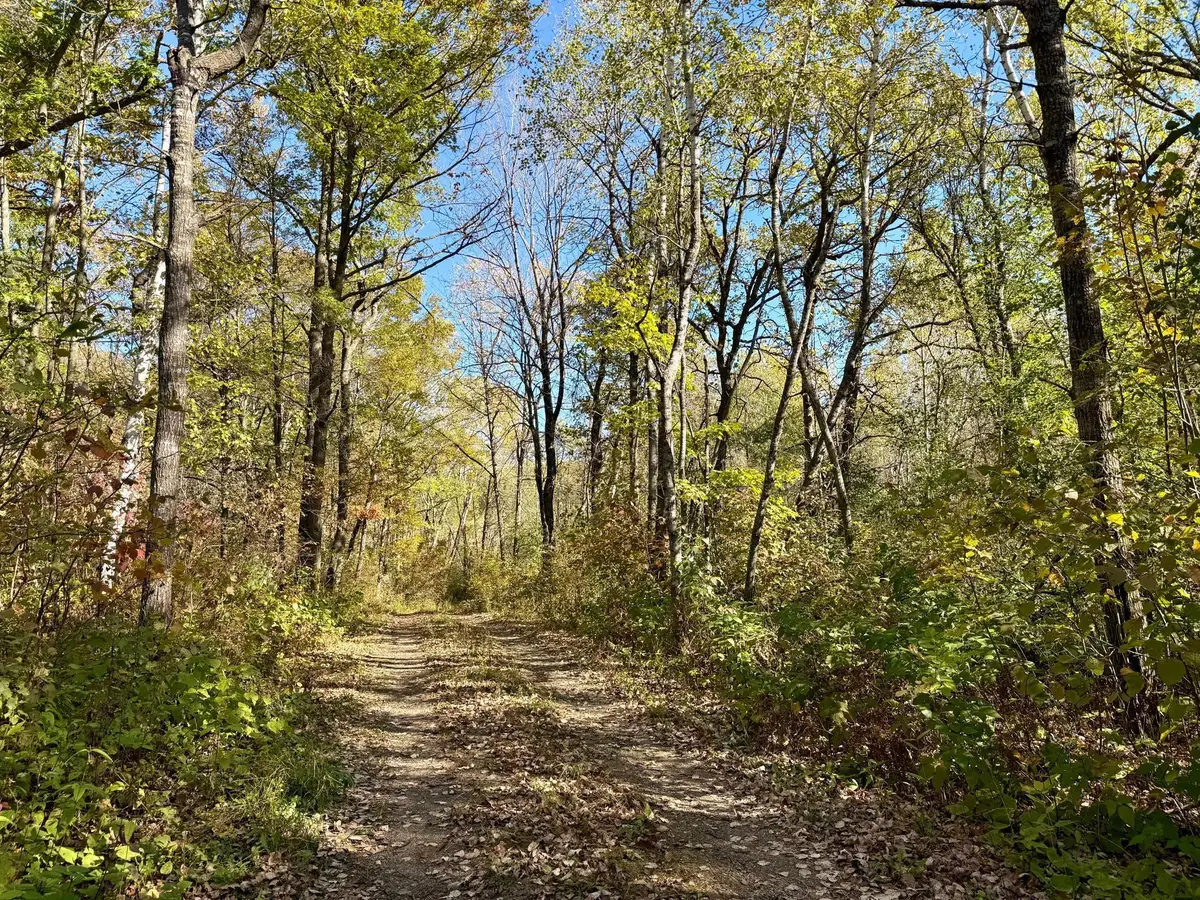 TBD County Rd. 8, Brainerd, MN 56401 - #1