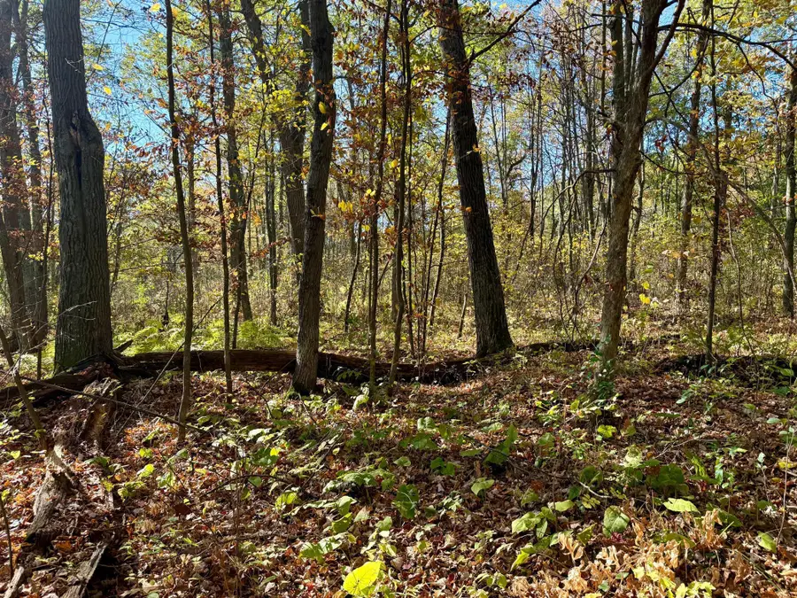 TBD County Rd. 8, Brainerd, MN 56401 - #2