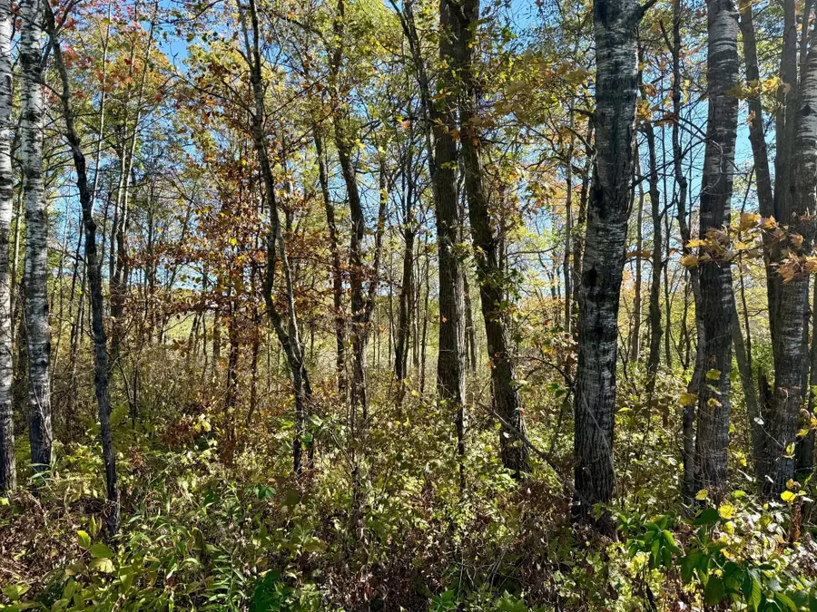 TBD County Rd. 8, Brainerd, MN 56401 - #3