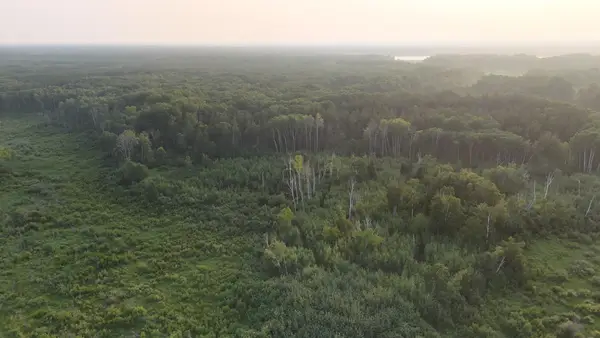 12031 State 64, Akeley, MN 56433