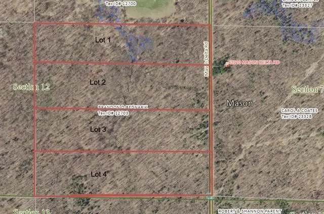 Lot 1 Mason Delta Rd, Delta, WI 54856 - Image #1
