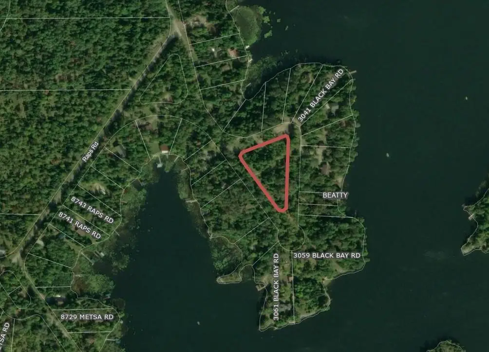 TBD Black Bay Road, Beatty, MN 55723 - Image #1