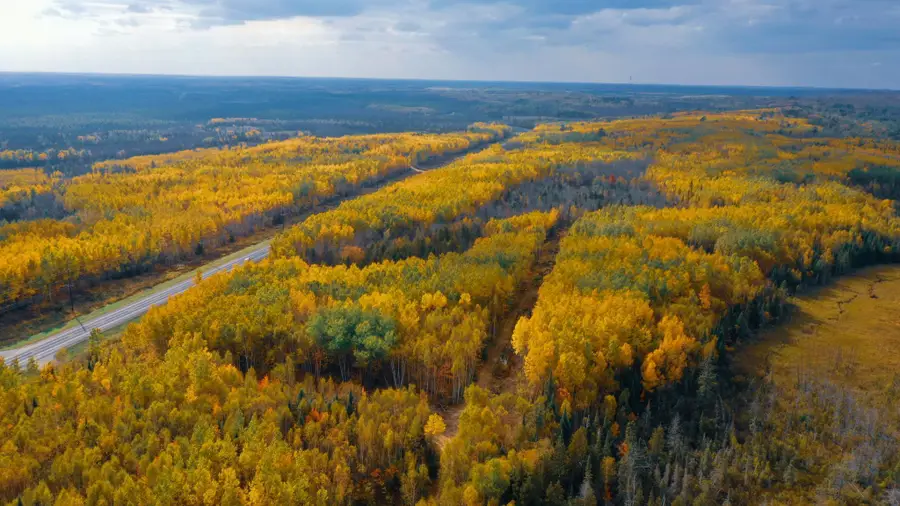 Parcel 13 TBD Hwy 115, Greenwood Township, MN 55790 - Image #2