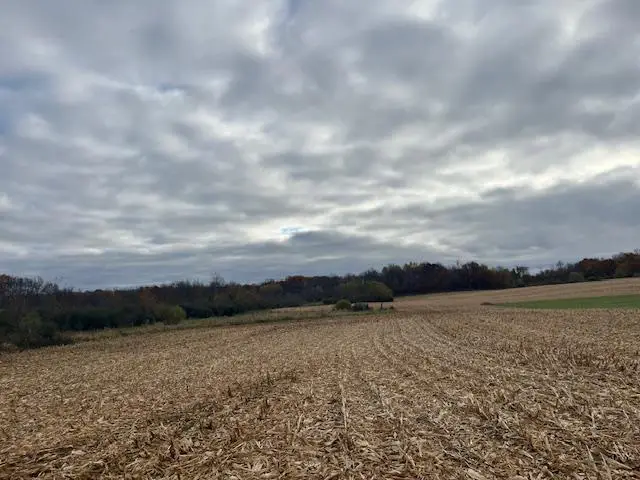 TBD (L2B1) Packard Street Ne, Stanchfield Township, MN 55080 - Image #1