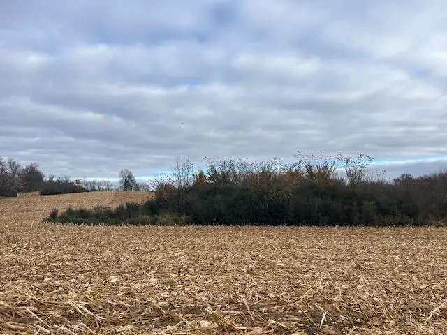 TBD (L2B1) Packard Street Ne, Stanchfield Township, MN 55080 - Image #3