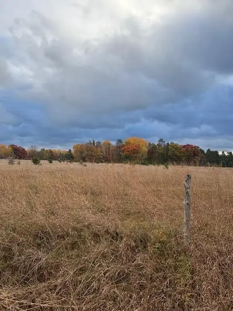 TBD Tract D Gunpowder Road, Center, MN 56465 - Image #2