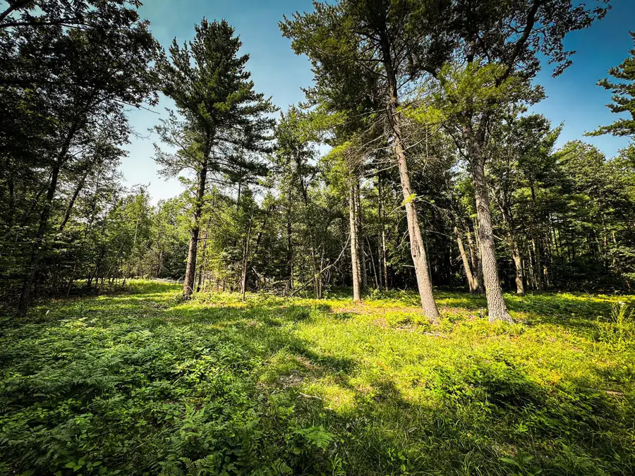 26987 Marias Way, Webster, WI 54893 - #2