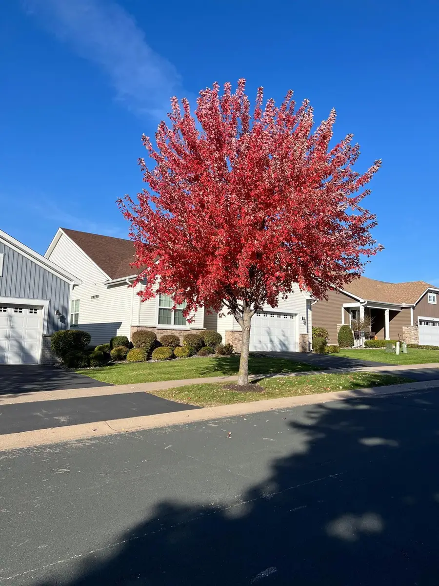 7425 Peony Lane N, Maple Grove, MN 55311 - Image #2