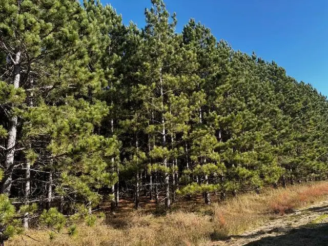 xxx Emerald Court Ne, Carlos, MN 56319 - Image #1