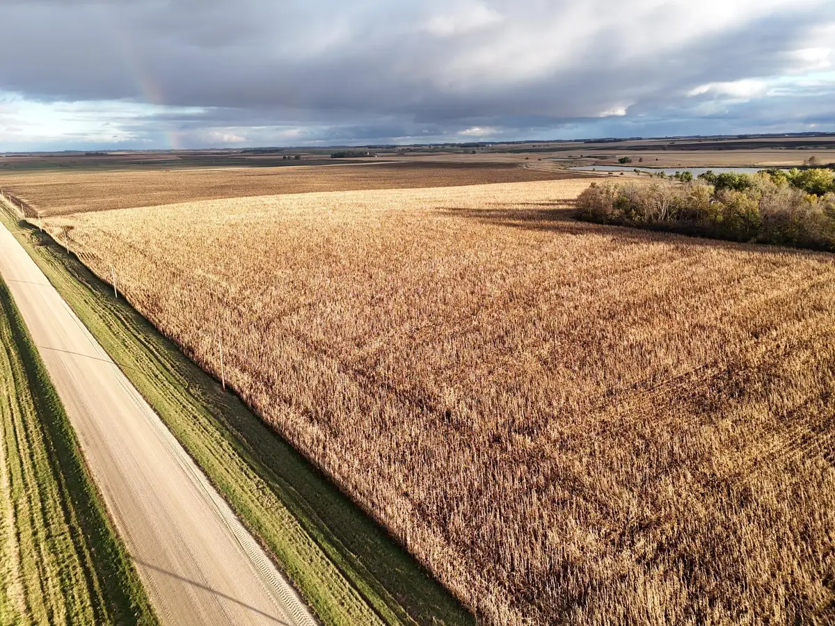 XXXXX County Rd 4, Alberta, MN 56207 - Image #1