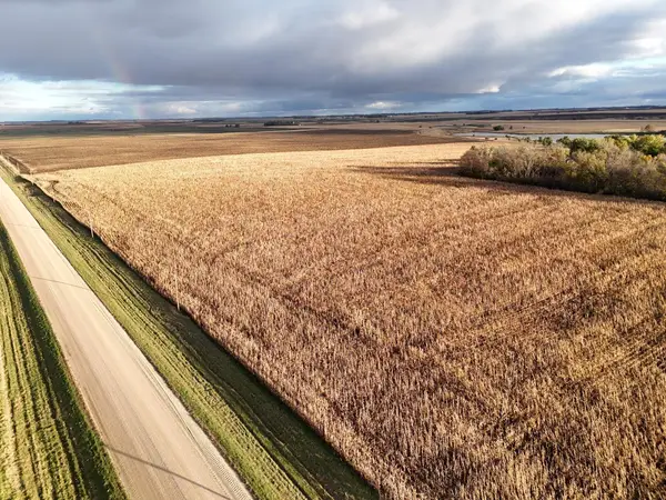 XXXXX County Rd 4, Alberta, MN 56207