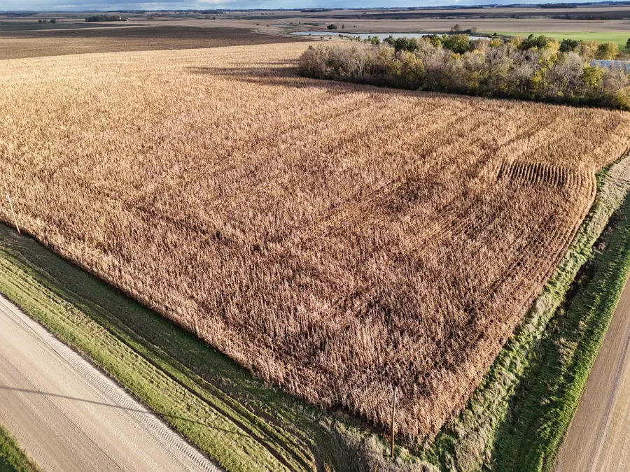 XXXXX County Rd 4, Alberta, MN 56207 - Image #3