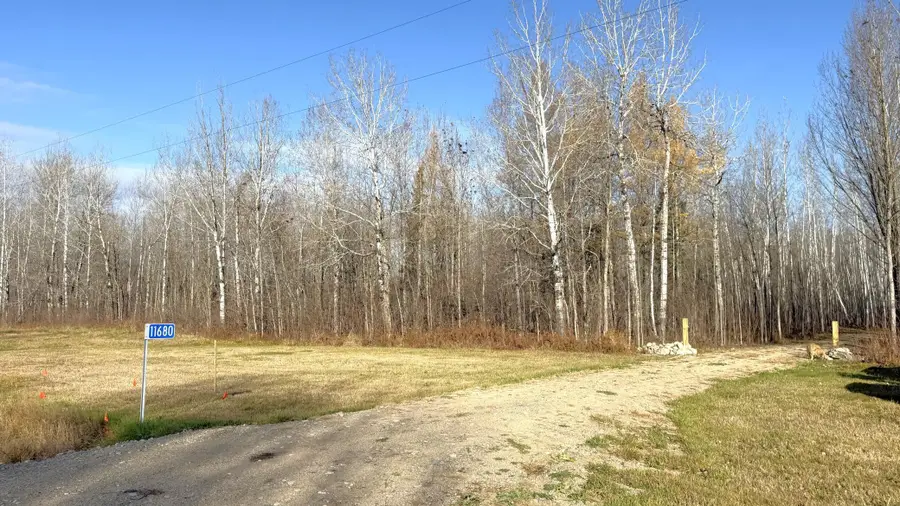 11680 County 59 Road, Orr, MN 55771 - Image #3