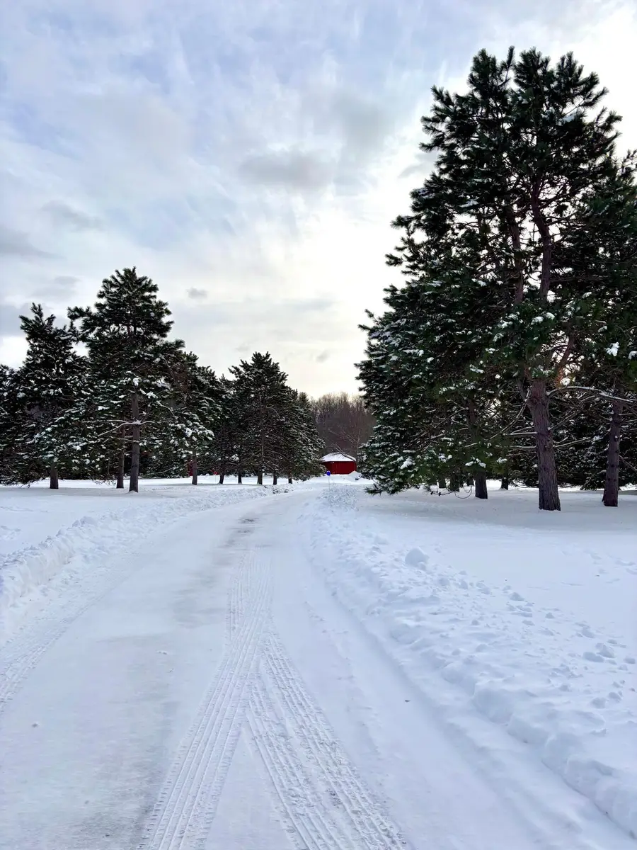 14995 42nd Street S, Afton, MN 55001 - Image #2