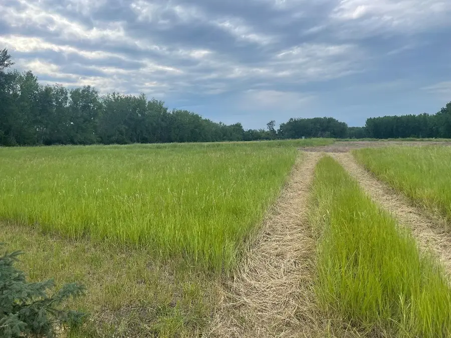 10220 State Hwy 9 S, Barnesville, MN 56514 - #2