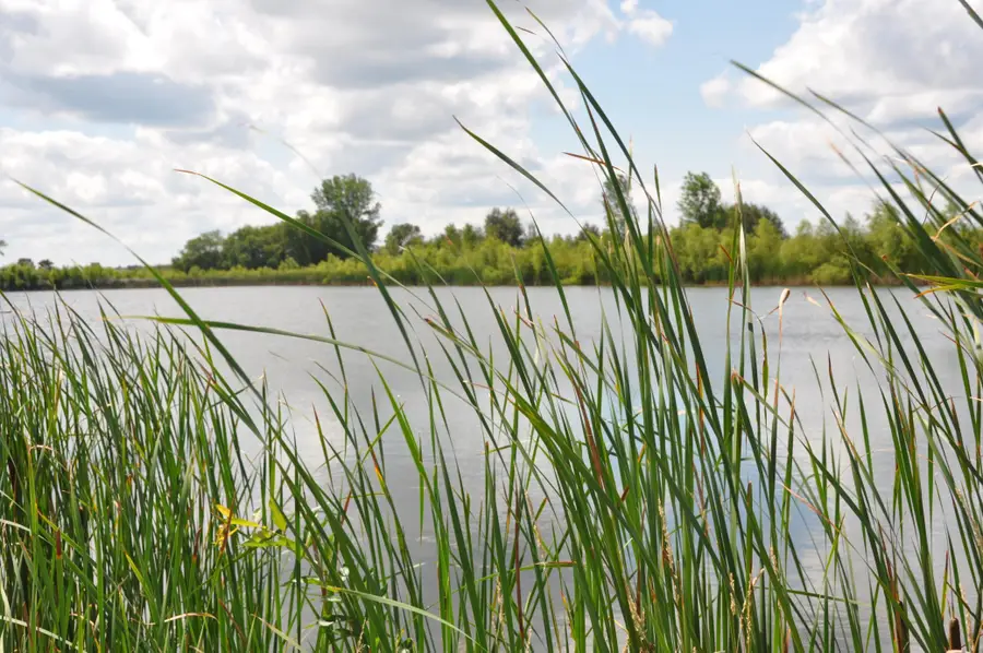 1309 20th Avenue S, Sartell, MN 56377 - Image #2