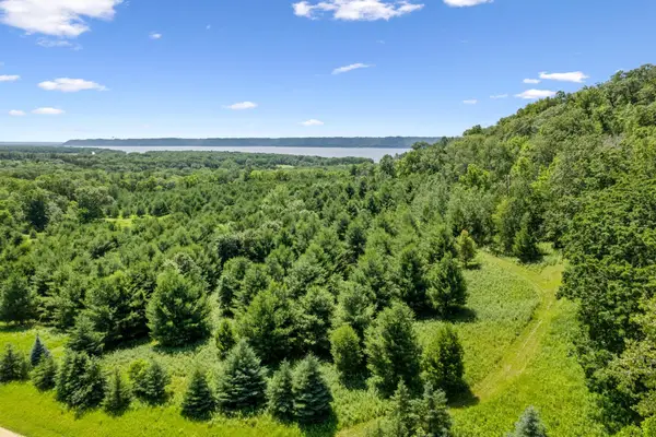 0 Cottonwood Lane East Parcel, Pepin, WI 54769