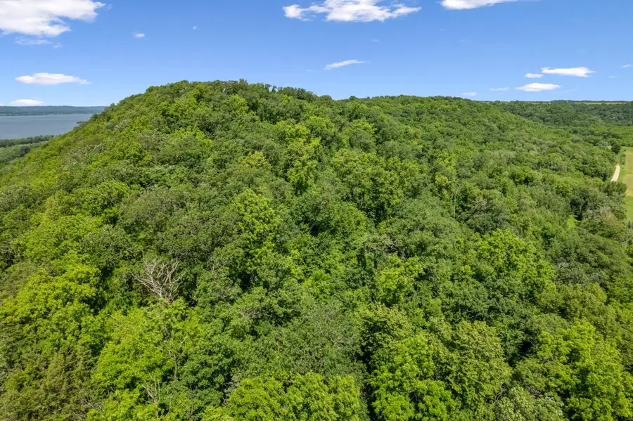 0 Cottonwood Lane East Parcel, Pepin Town, WI 54769 - Image #3