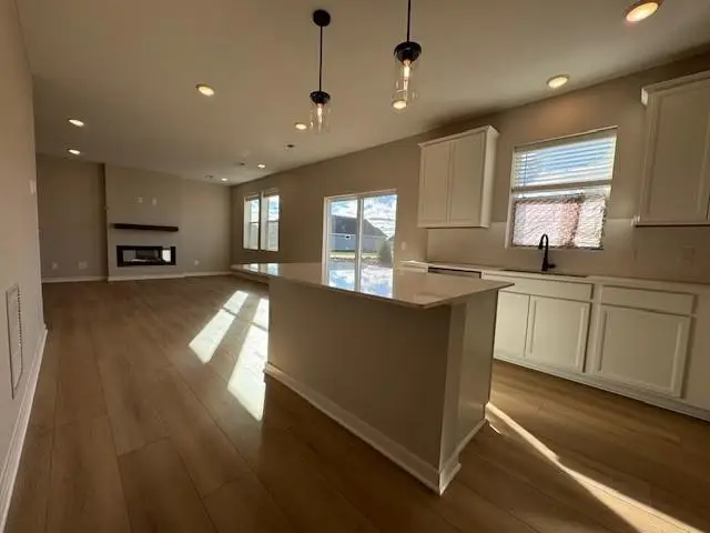 12585 Erskin Street Ne, Blaine, MN 55449 - Image #2