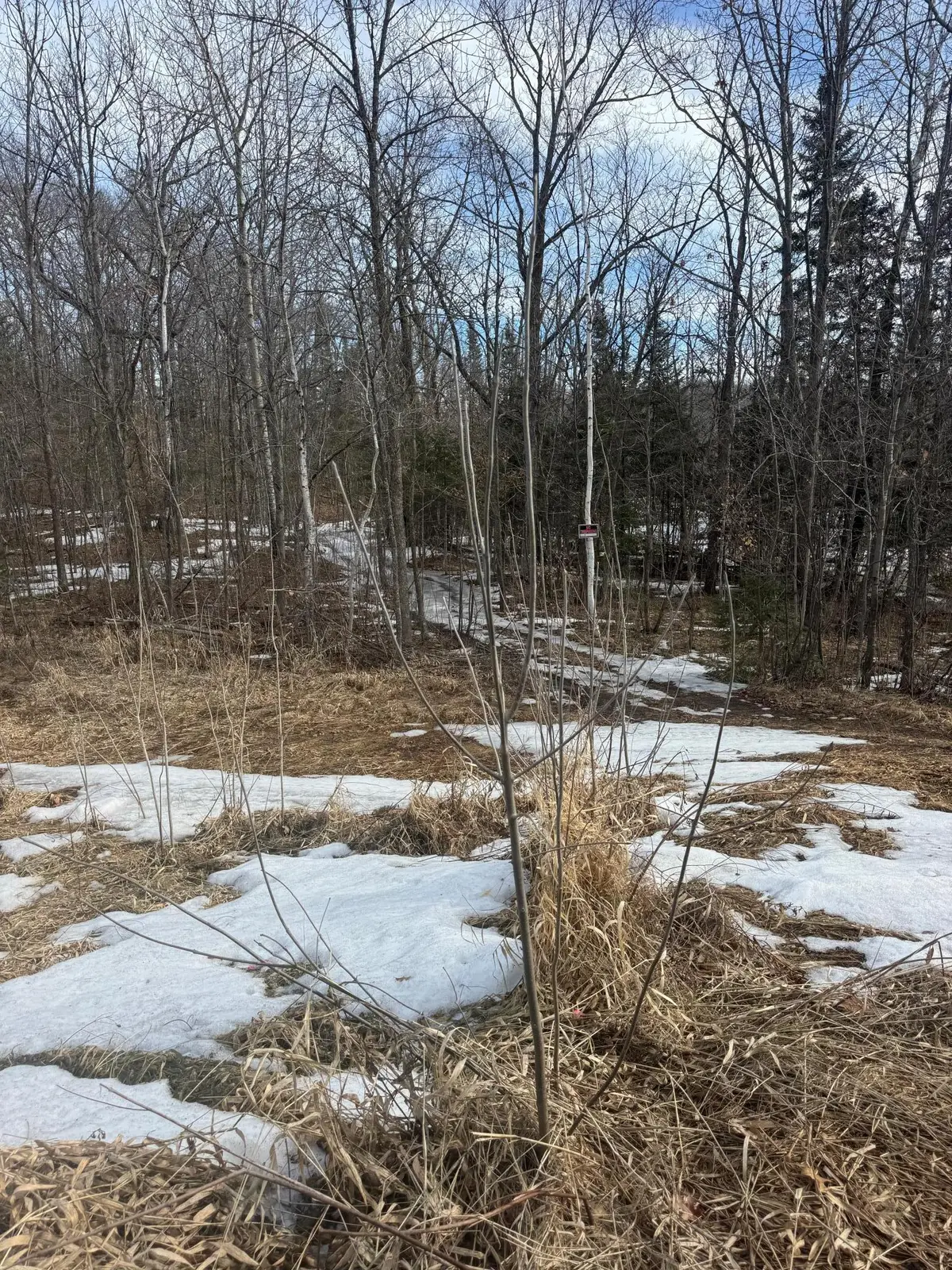 TBD Mn-18, Brainerd, MN 56401 - #1