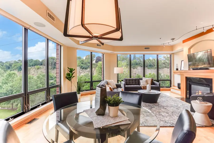 312 Spring Street #309, Saint Paul, MN 55102 - Image #3