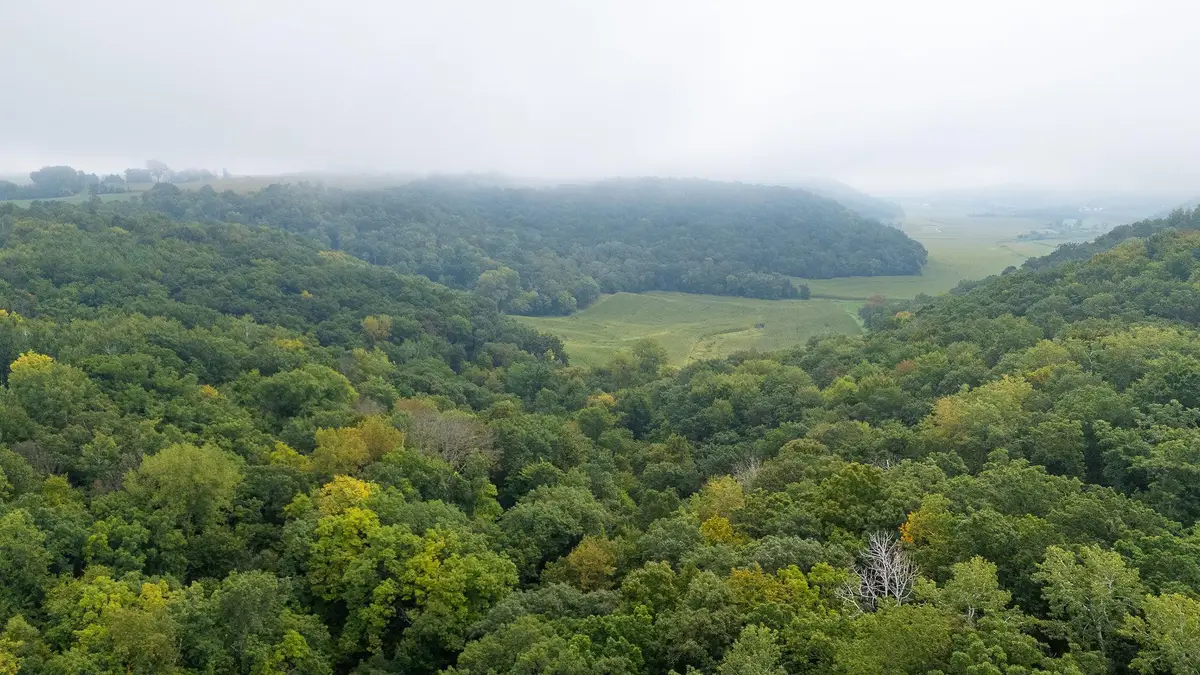 TBD (Lot 4) Goat Back Road, Pepin, WI 54759 - Image #1