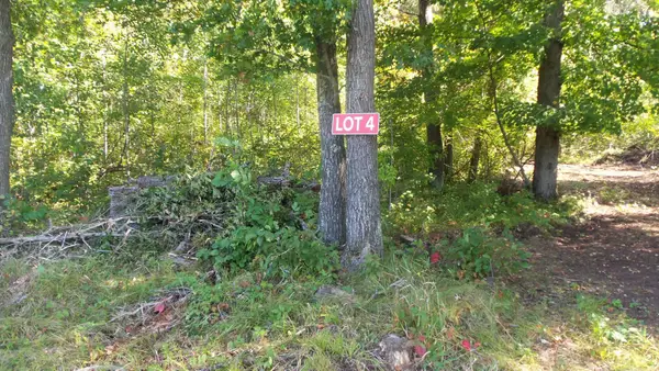 Lot 4 East River Rd, Anderson Twp, WI 54840