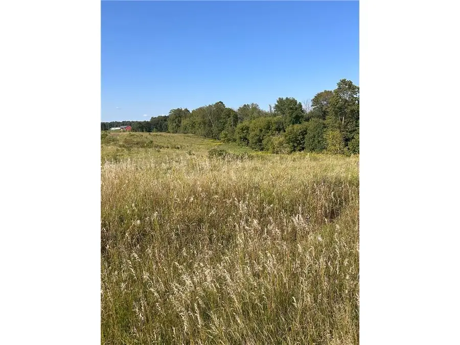 Lot 1 166th Street, Dresser, WI 54009 - Image #2