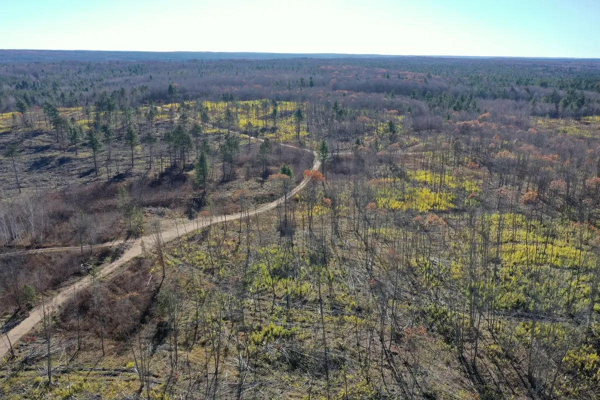 TBD N Larsen Road, Lenroot, WI 54843 - Image #1