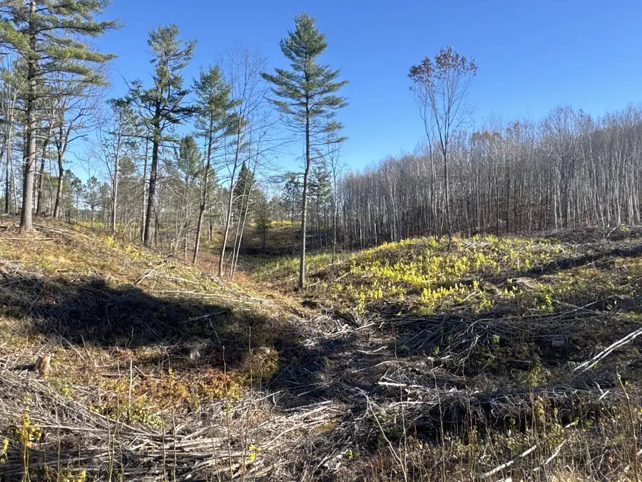 TBD N Larsen Road, Lenroot, WI 54843 - Image #2