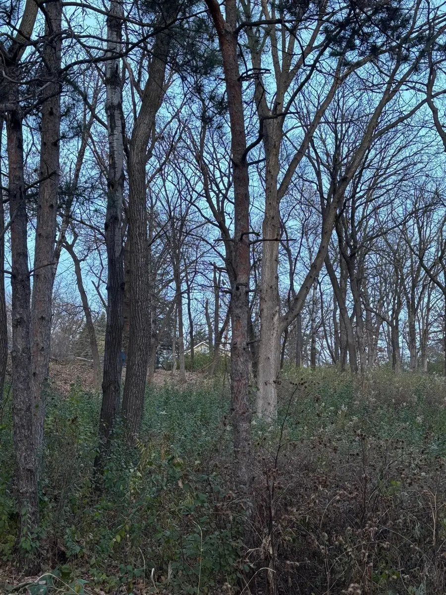 12786 Denmark Avenue, Apple Valley, MN 55124 - Image #2