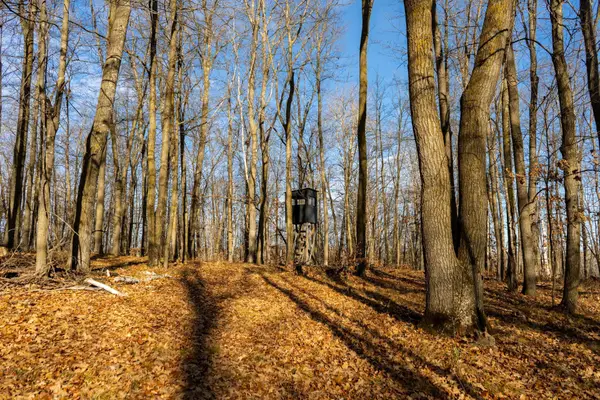 TBD 48th Street Sw, Pine River, MN 56474